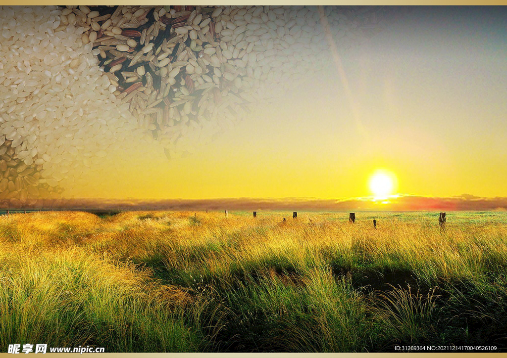 大气画册内页背景快印