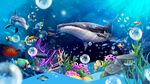 海底世界 