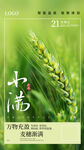 小满节气海报每日早安海报