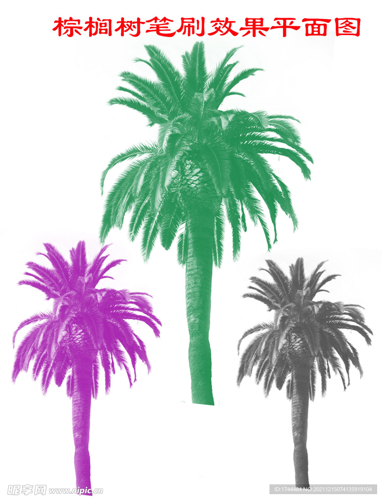单棵棕榈树椰子树BAR笔刷