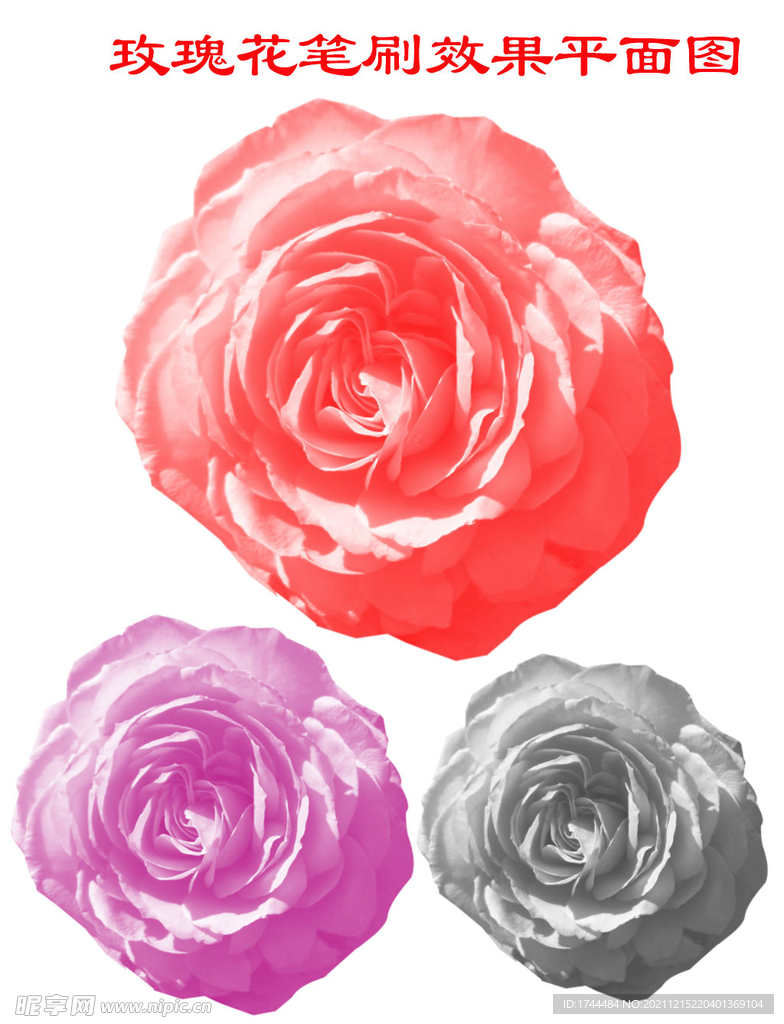 漂亮的玫瑰花笔刷