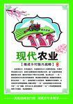 现代农业海报