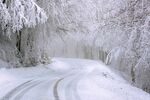 雪景