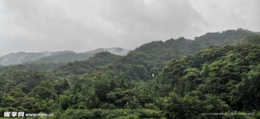 青山 薄雾