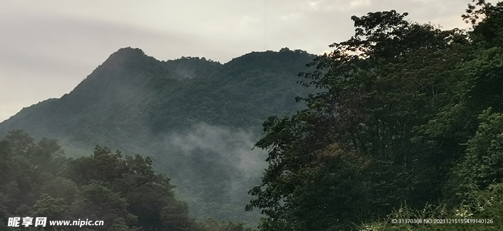 青山 薄雾