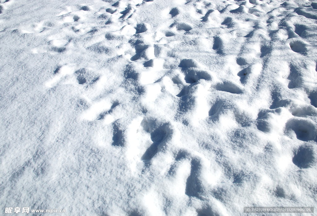 雪中脚印图片