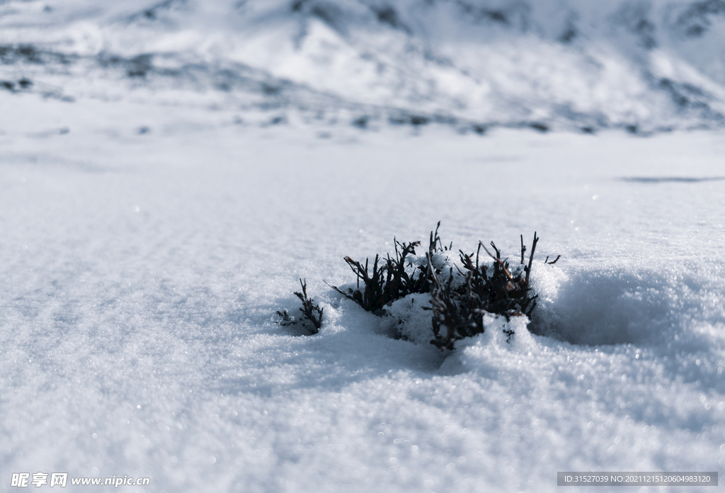 雪景素材