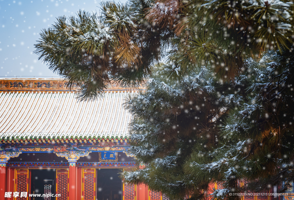 雪景宫墙冬季雪松素材