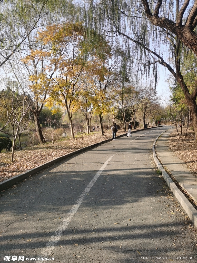 公园 风景 散步 秋天 