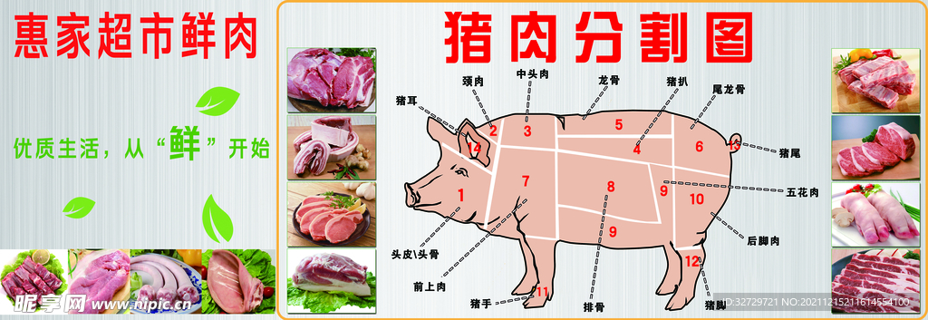 猪肉分割图