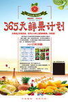 365天鲜果计划
