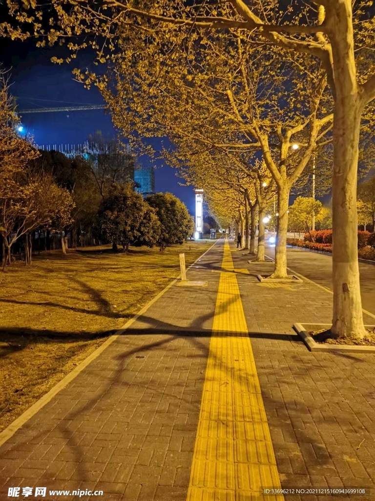 秋意夜晚