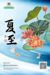 夏至海报