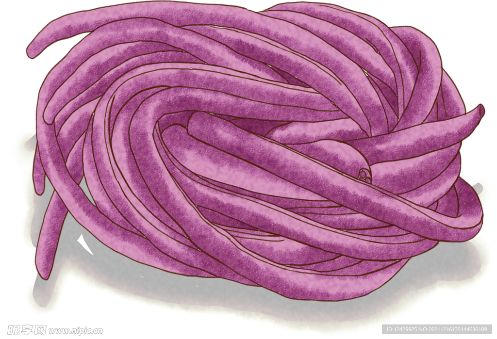 手绘紫豇豆