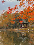 秋景林荫 宜人秋景 亭子