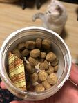 喂猫