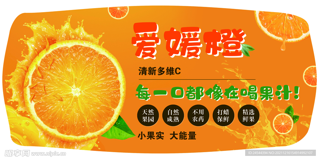 爱媛橙