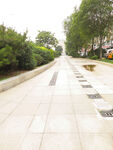 路