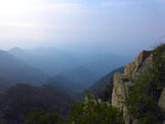 泰山