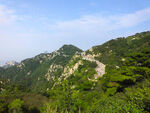 泰山
