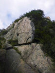 泰山