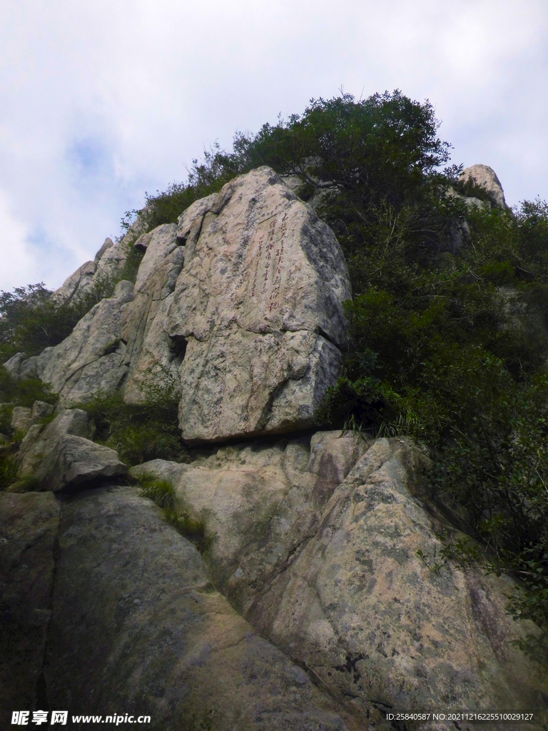 泰山