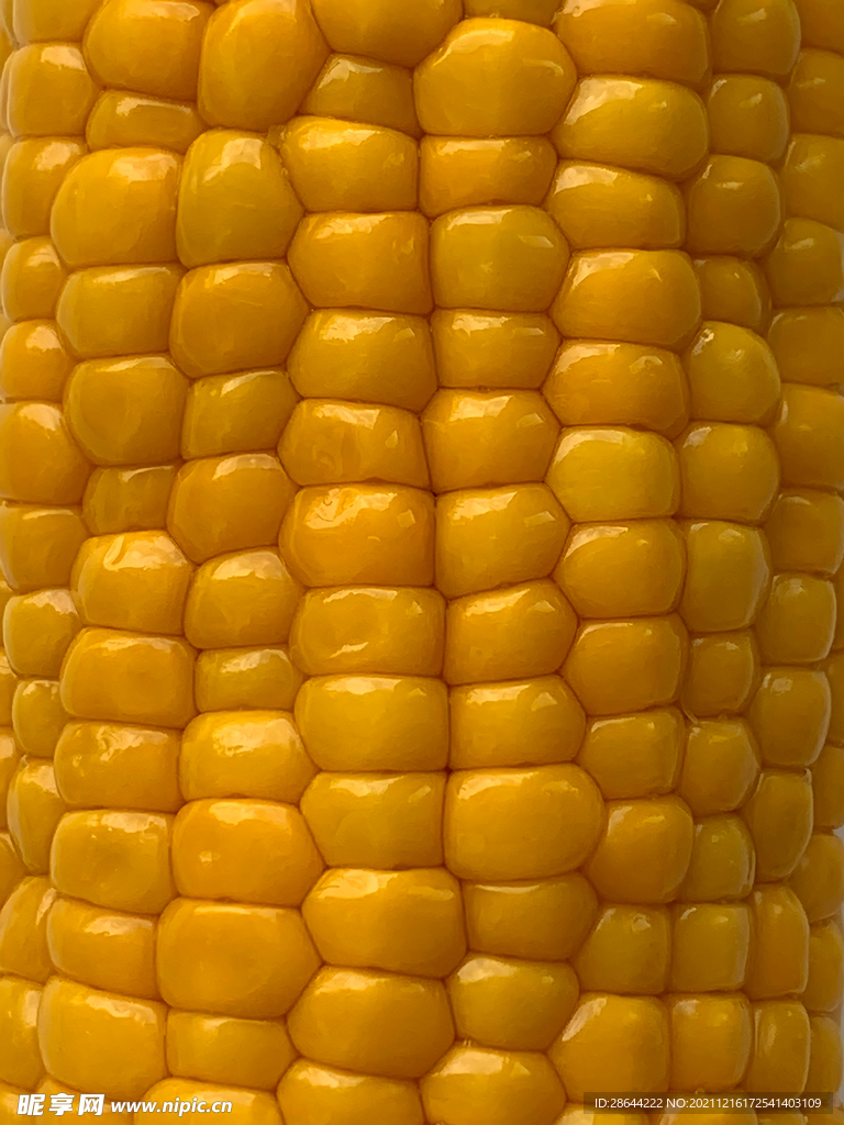玉米