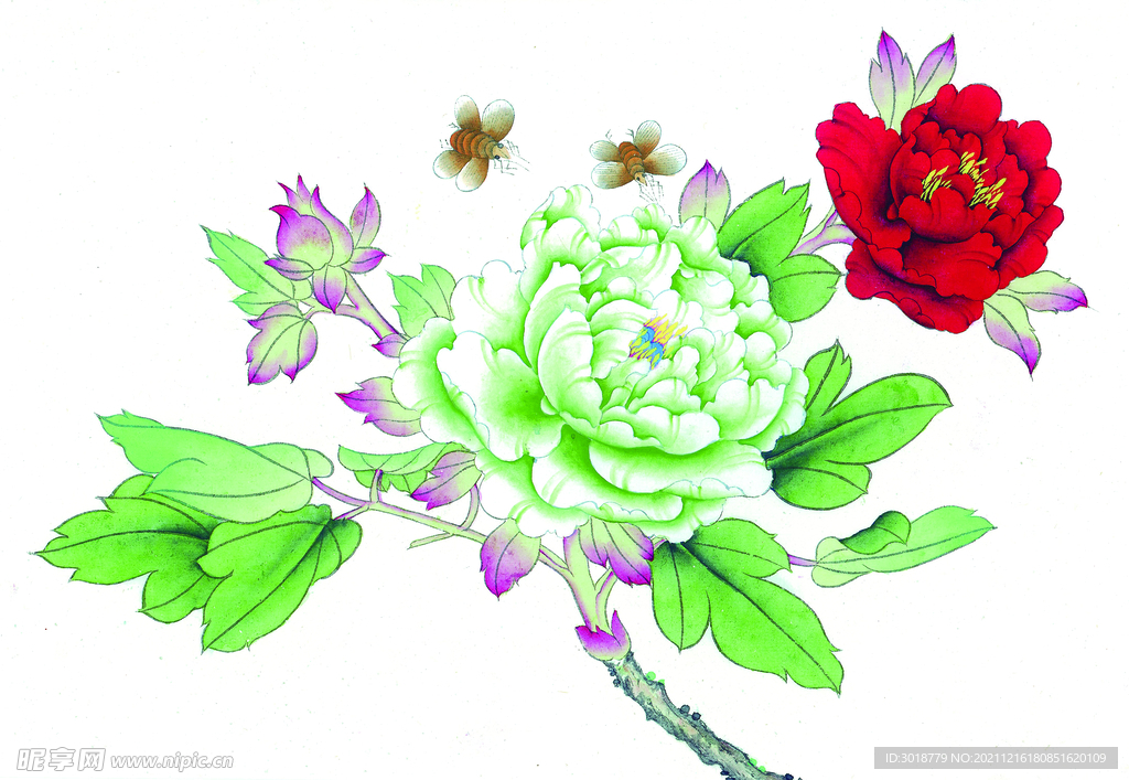 花鸟画 
