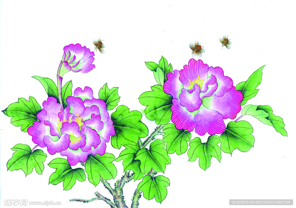 花鸟画