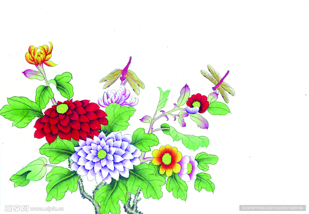 花鸟画 