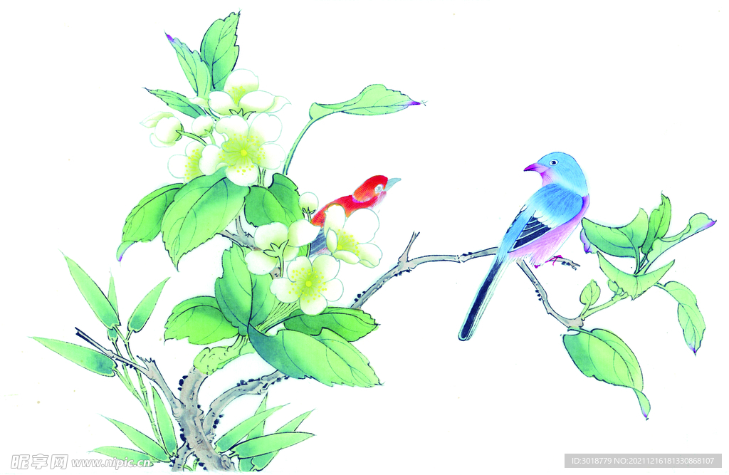 花鸟画 