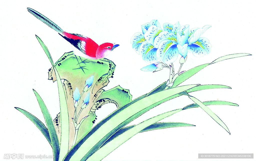 花鸟画 