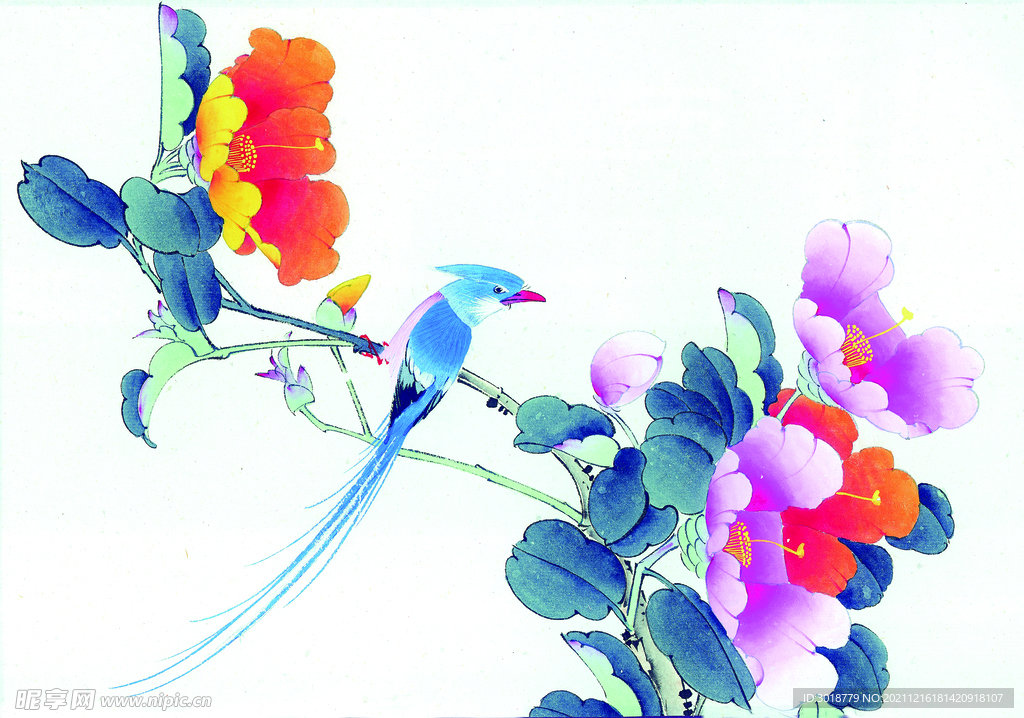 花鸟画 
