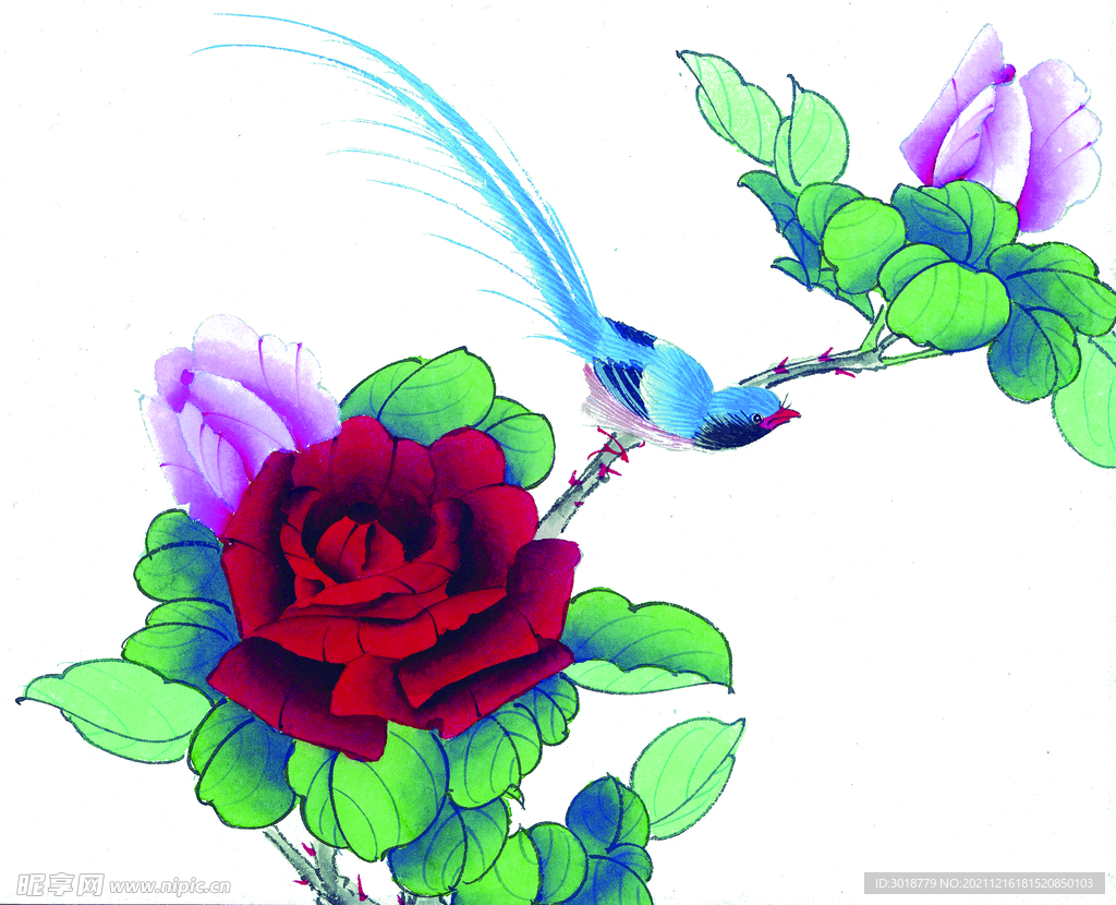 花鸟画 