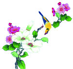 花鸟画 