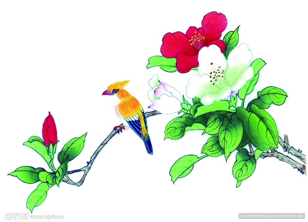 花鸟画 