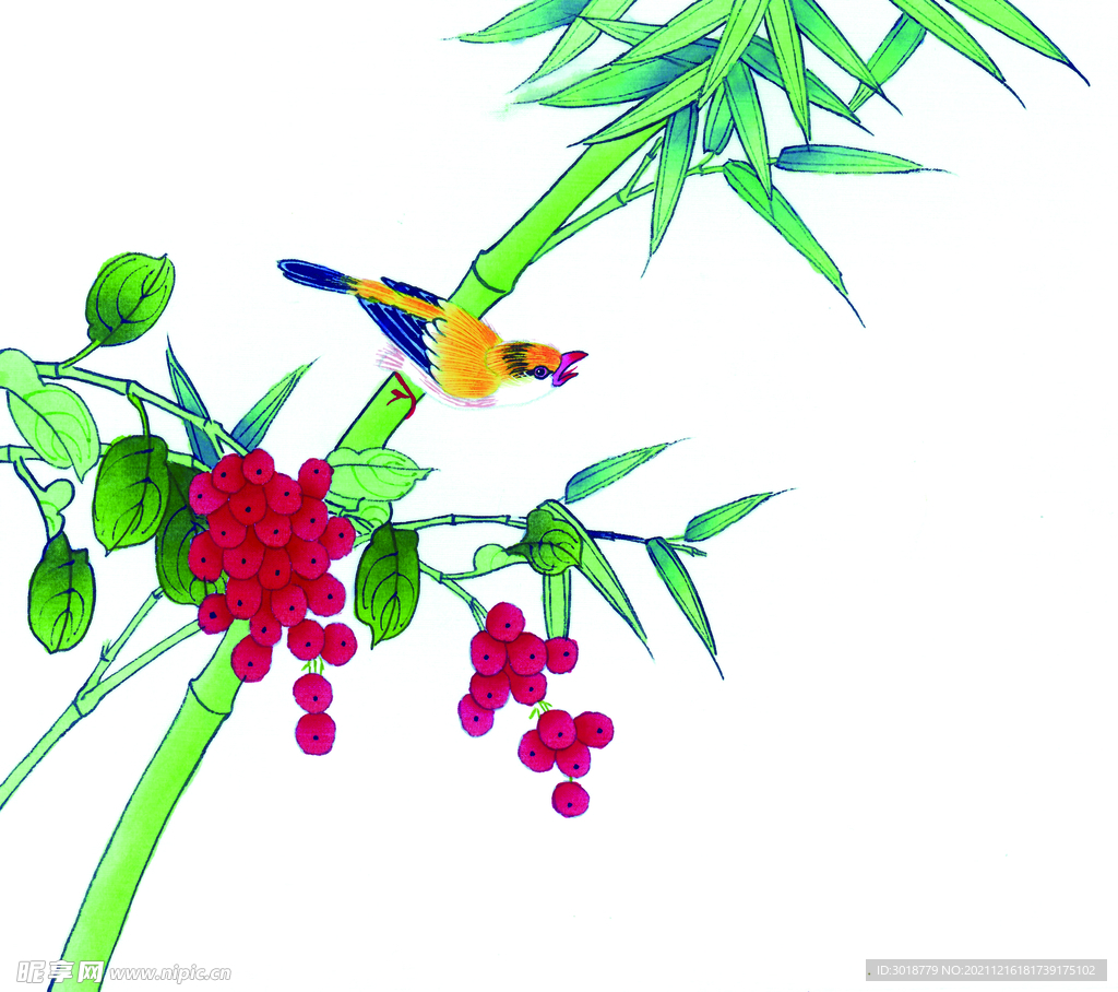 花鸟画 