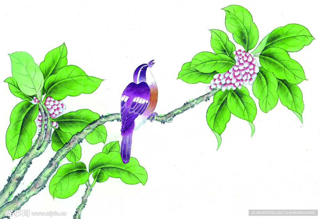 花鸟画 