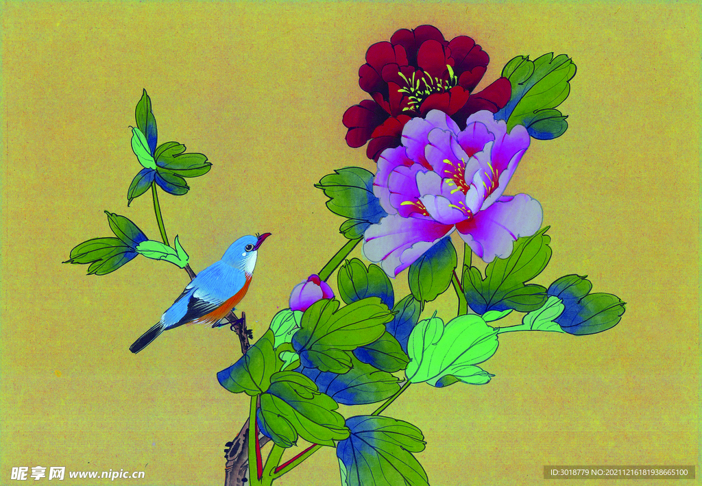 牡丹花鸟画 