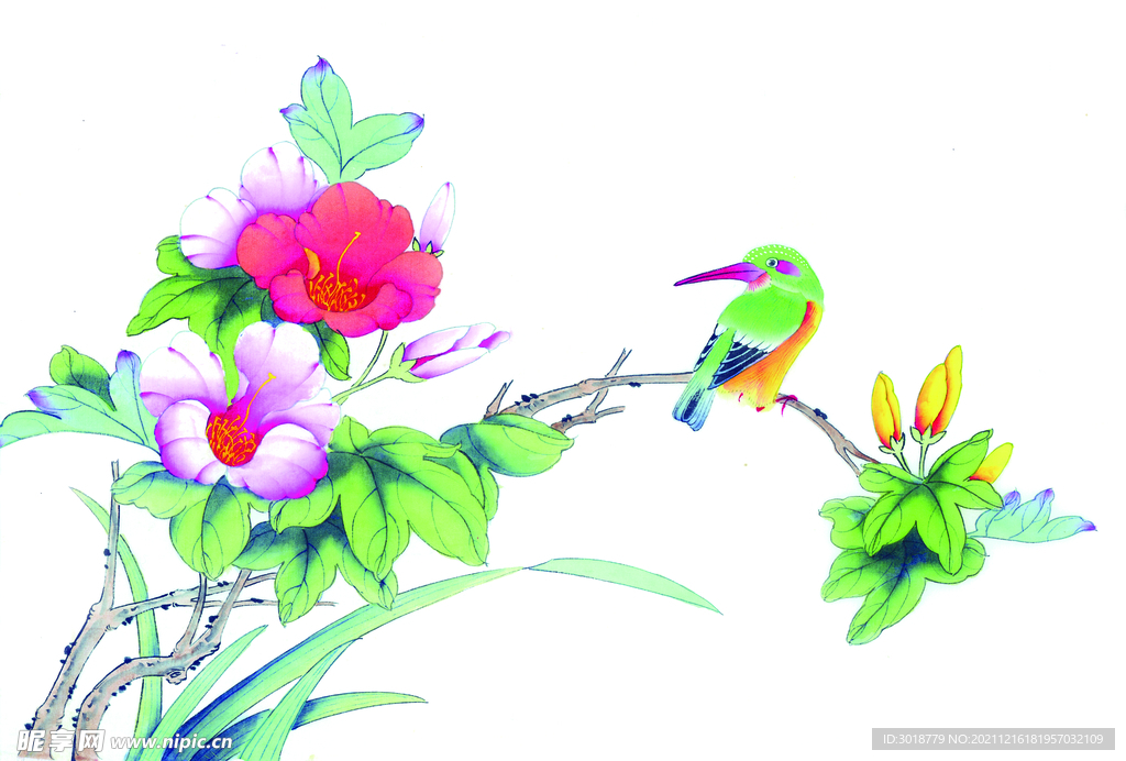 花鸟画 