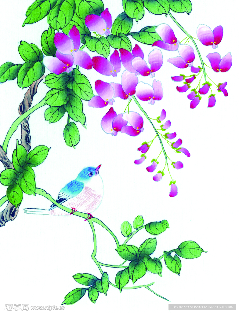 花鸟画 