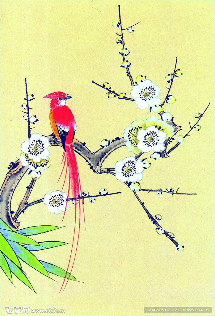 牡丹花鸟画 