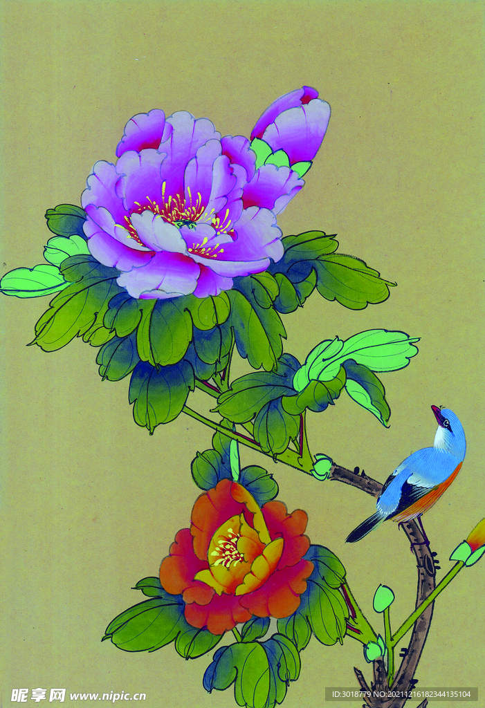 牡丹花鸟画 