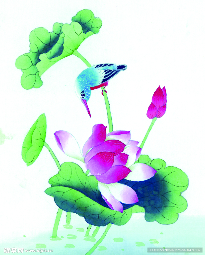 牡丹花鸟画 