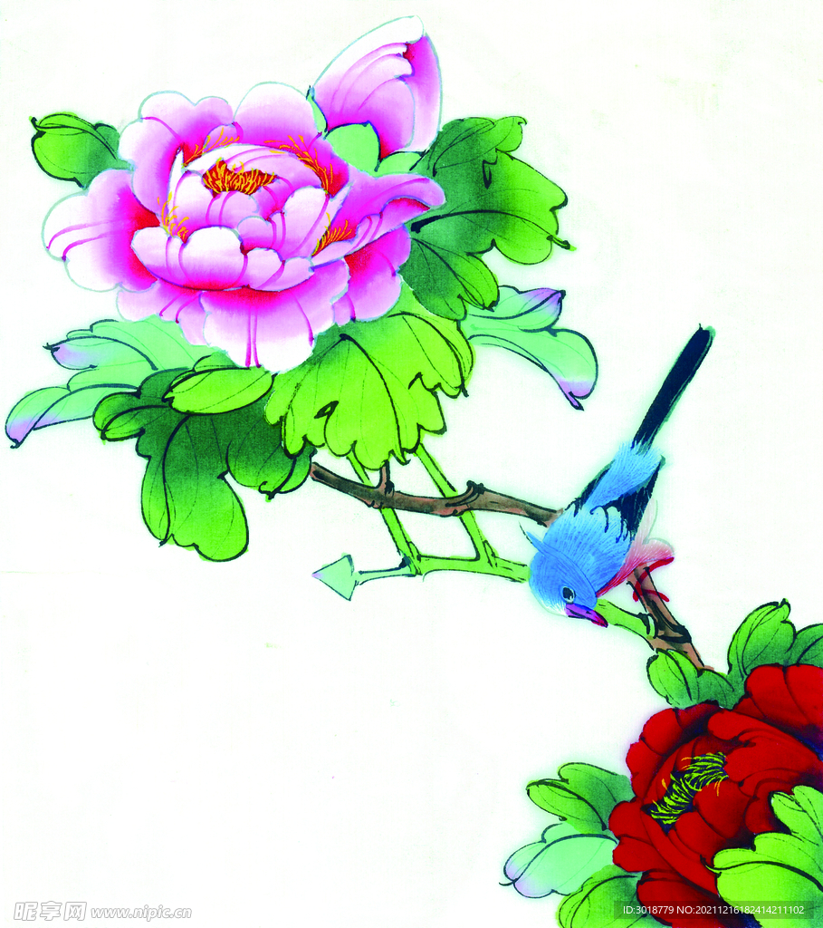 牡丹花鸟画 