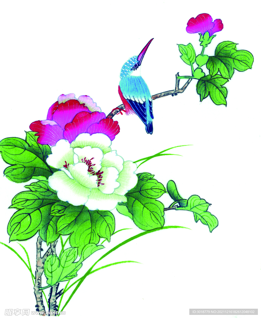 牡丹花鸟画 