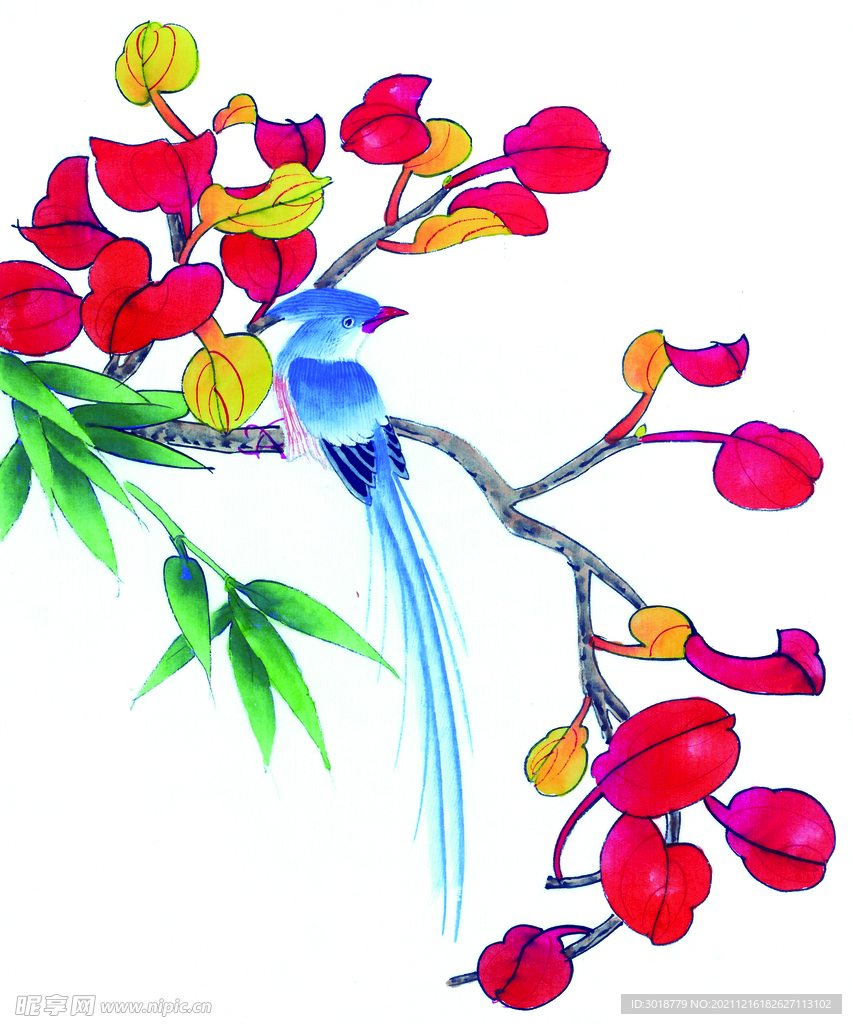 牡丹花鸟画 