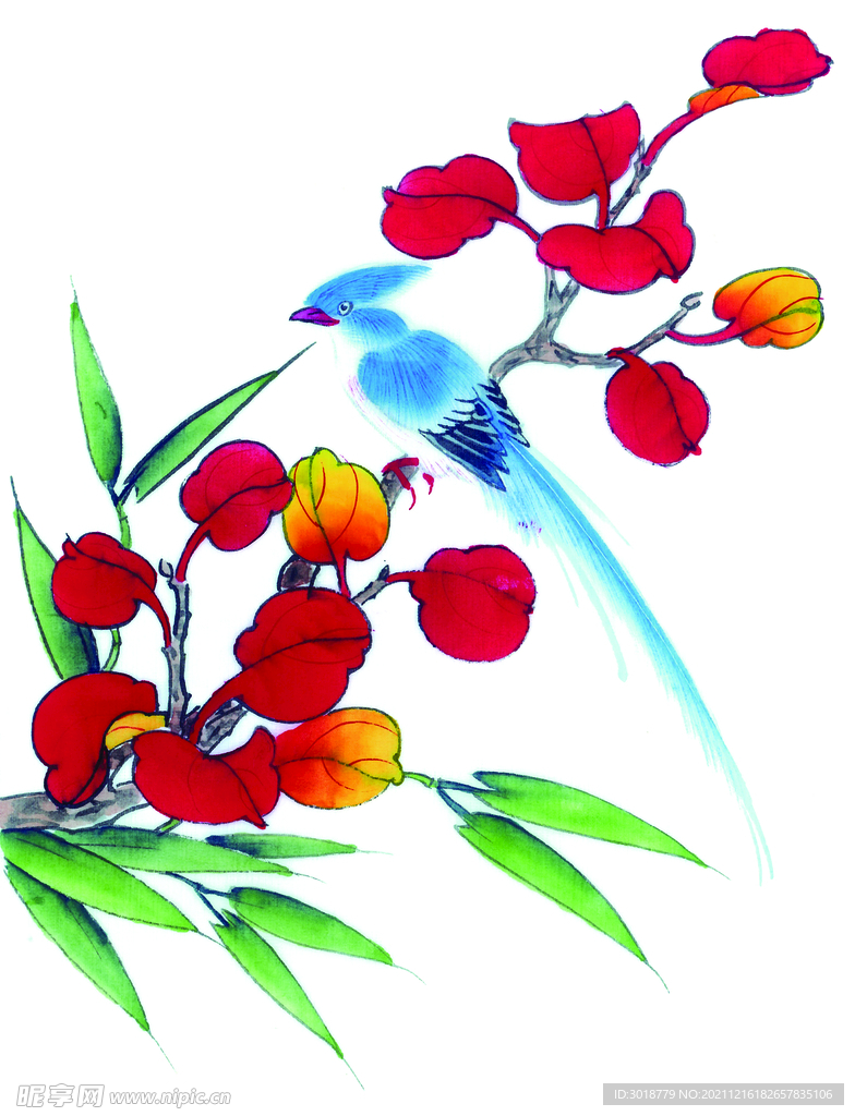 牡丹花鸟画 
