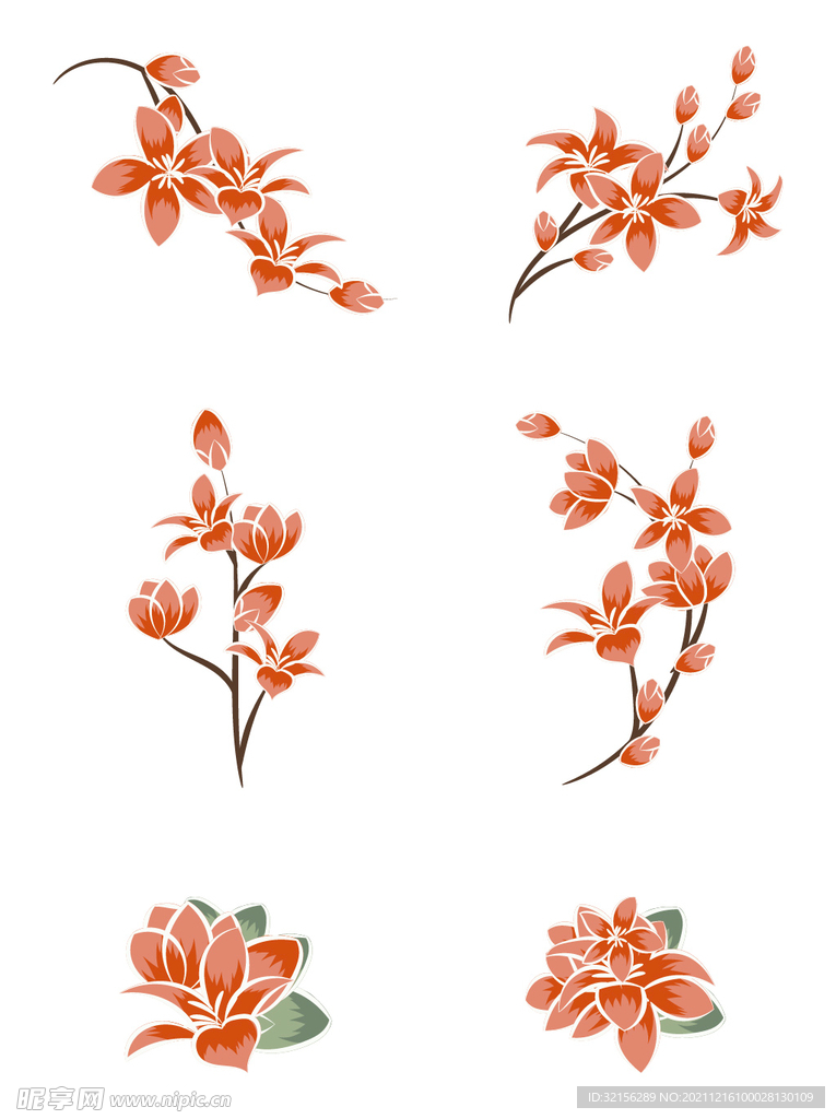 木棉花