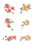 花朵红花